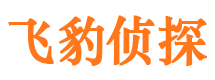 乌鲁木齐市侦探调查公司